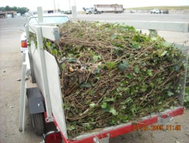 8x4 Garden Trailer